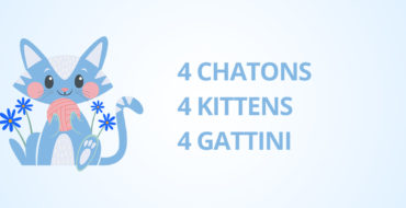 Naissances 4 chatons 09 Juin 2025