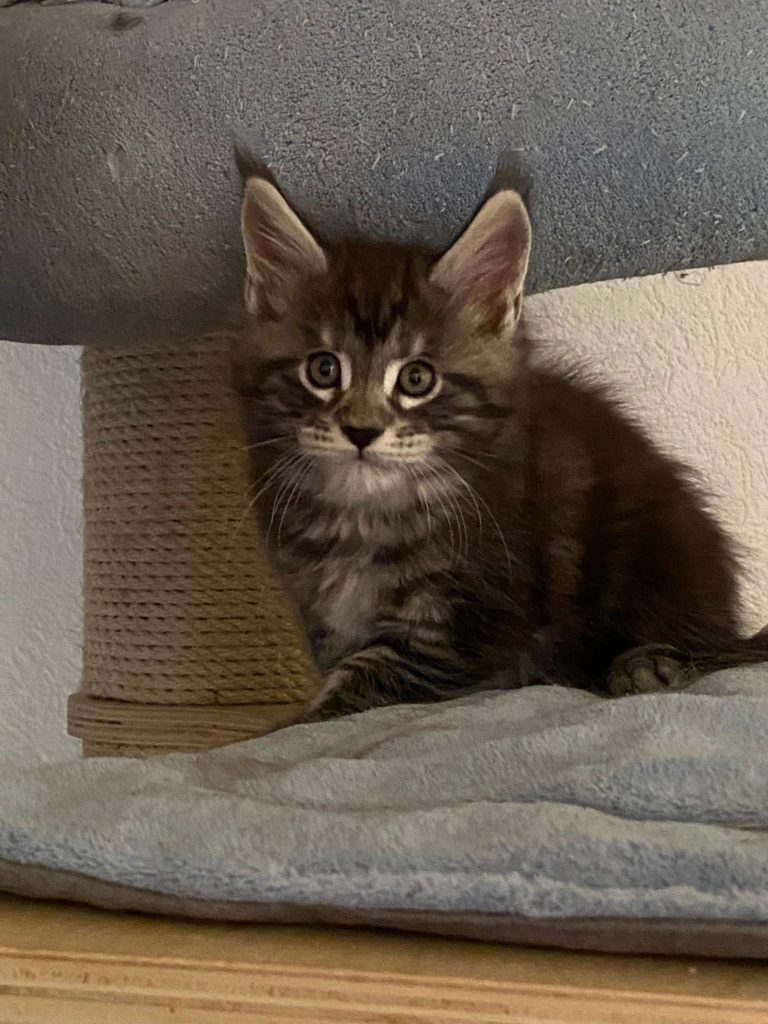 Sam