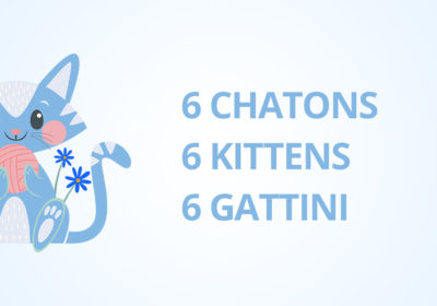 Naissances 9 et 16 Jui. 2021 – 6 chatons