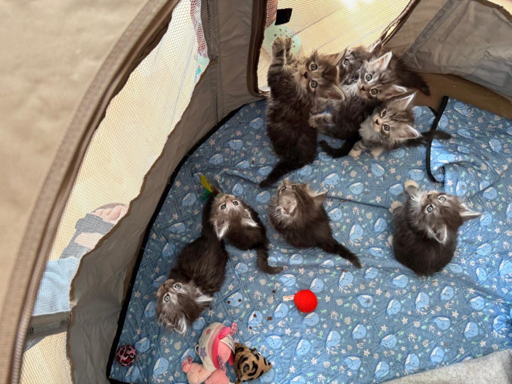 Portée du 14 Mars 2026